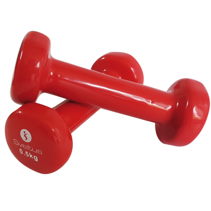 Epoxy dumbbell 500 g x2 | REHABgrossisten