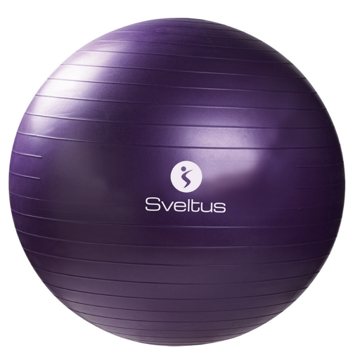 Gymball purple Ø75 cm bulk | REHABgrossisten